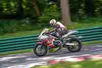 cadwell-no-limits-trackday;cadwell-park;cadwell-park-photographs;cadwell-trackday-photographs;enduro-digital-images;event-digital-images;eventdigitalimages;no-limits-trackdays;peter-wileman-photography;racing-digital-images;trackday-digital-images;trackday-photos